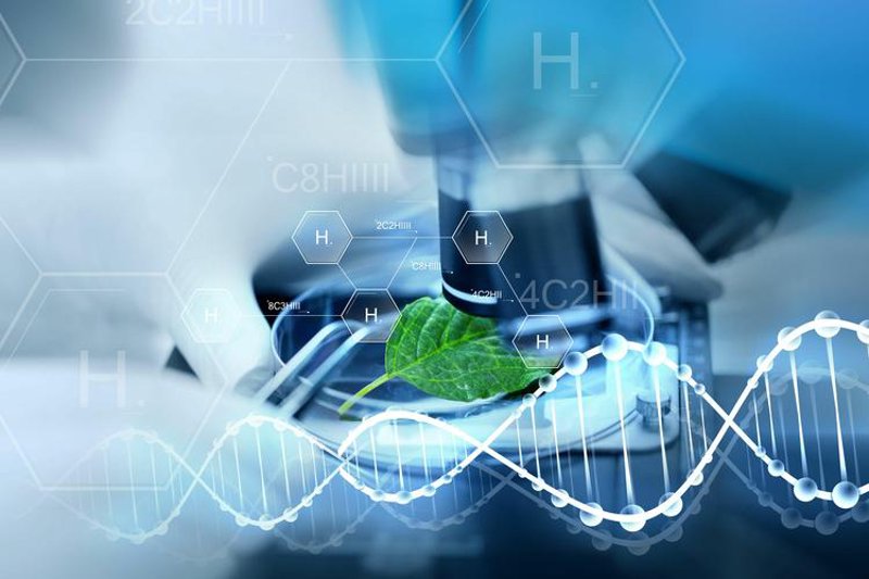 生物医药